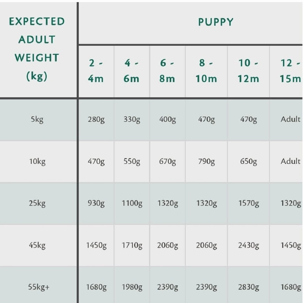 80% Gourmet Sausage Fresh Chicken Wet Dog Food
