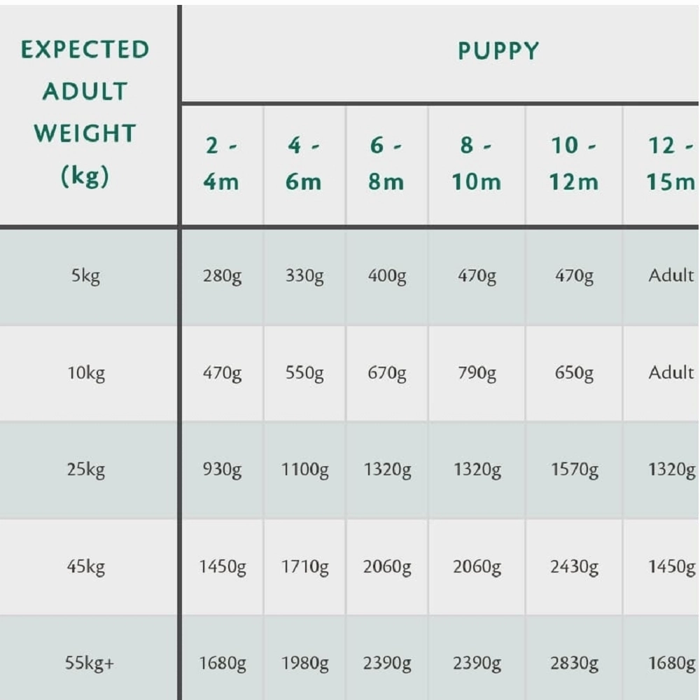 80% Gourmet Sausage Fresh Turkey Wet Dog Food