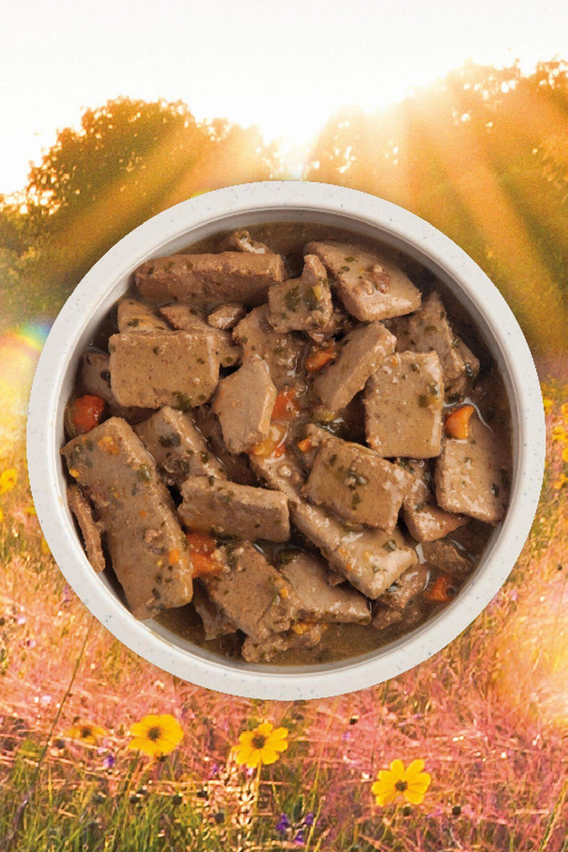 Acana Premium Chunks Beef in Bone Broth Wet Dog Food