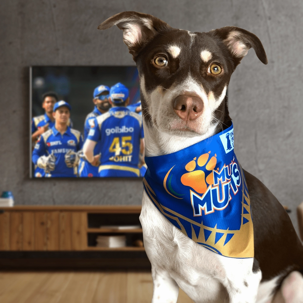 Barkbutler Mumbai Mutts Bandana for Dogs
