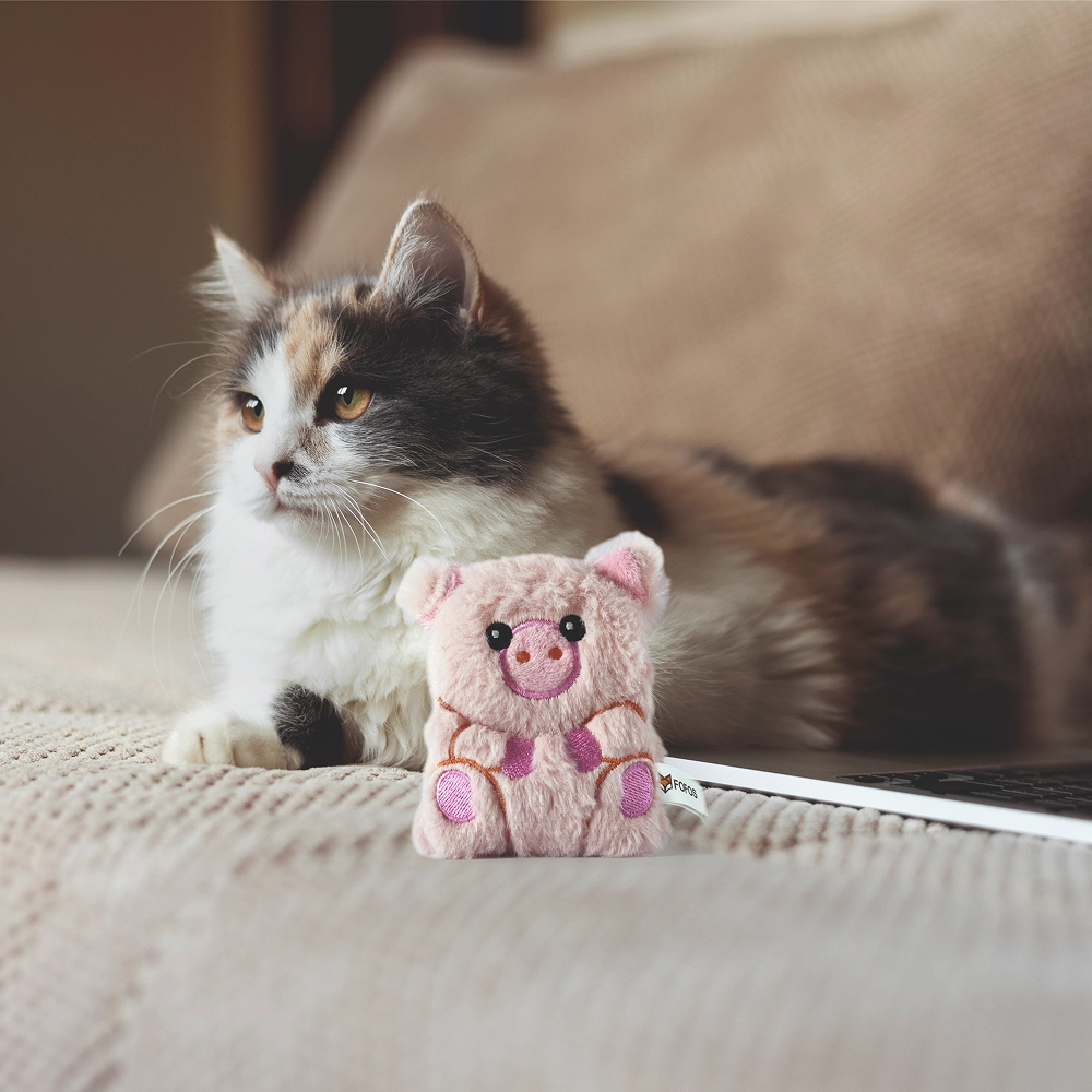 Barkbutler x Fofos Floppy Crinkle Pig Catnip Toy for Cats