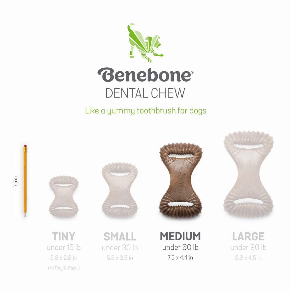 Benebone Bacon Flavored Dental Chew Toy for Dog | For Aggressive Chewers