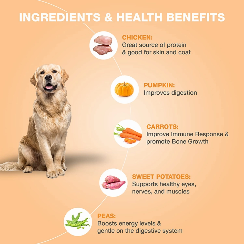 Bennys Bowl Chicken and Pumpkin Dog Fresh and Wet Food