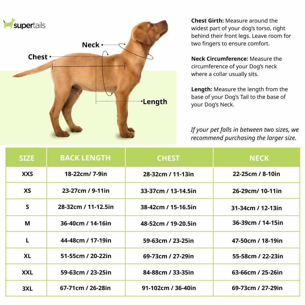 Boss Raincoat for Dogs (Camel)
