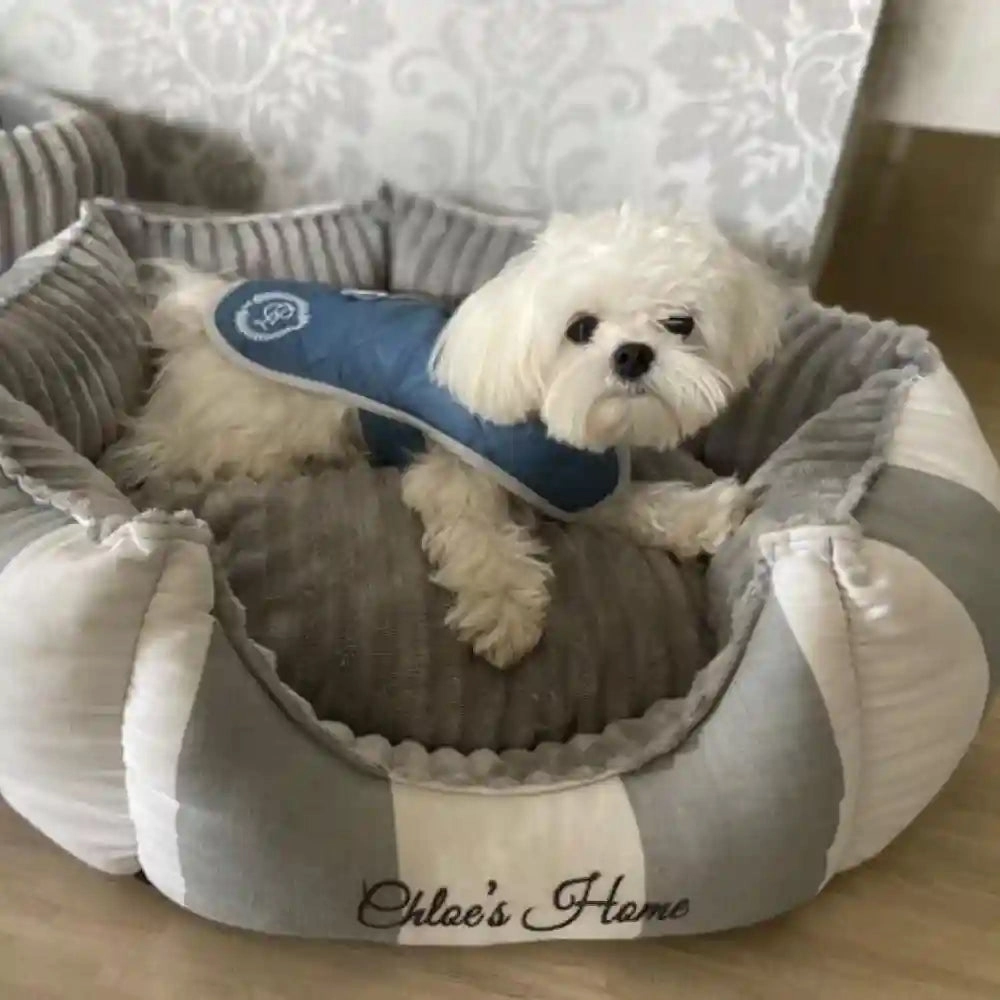 Chloe's Home Sienna Jacket for Dogs (Blue)