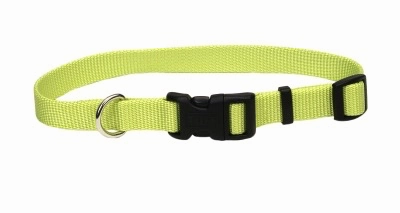 Coastal Adjustable Dog Collar with Plastic Buckle