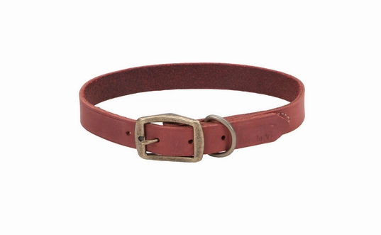 Coastal Circle T Rustic Leather Dog Collar