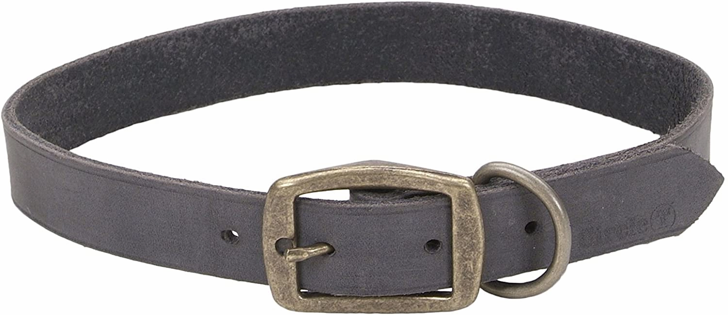 Coastal Circle T Rustic Leather Dog Collar