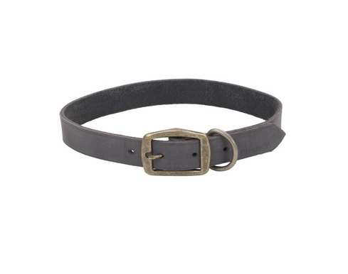 Coastal Circle T Rustic Leather Dog Collar