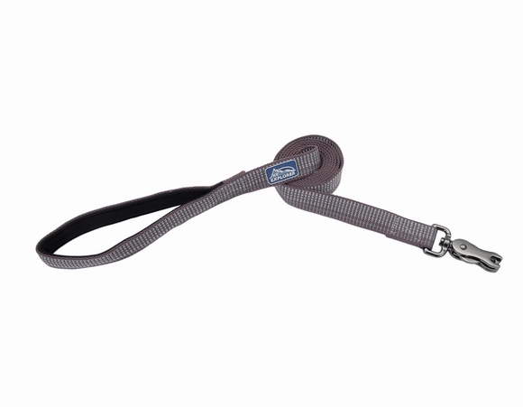 Coastal K9 Explorer Brights Reflective Dog Leash