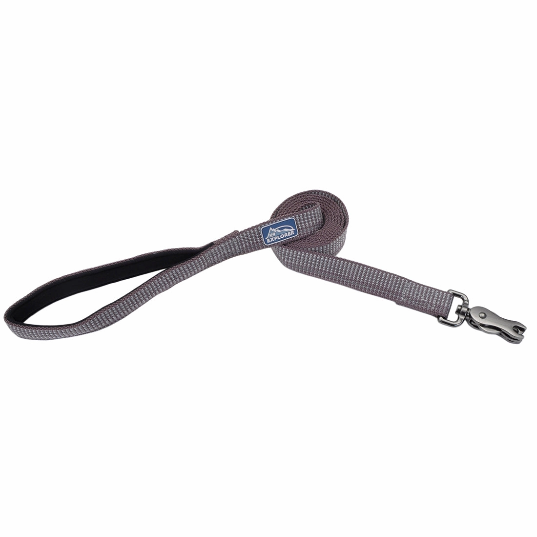 Coastal K9 Explorer Brights Reflective Dog Leash