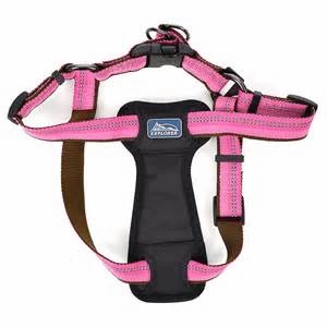 Coastal K9 Explorer Padded Harness
