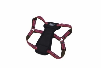 Coastal K9 Explorer Padded Harness