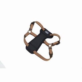 Coastal K9 Explorer Padded Harness