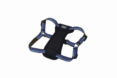Coastal K9 Explorer Padded Harness