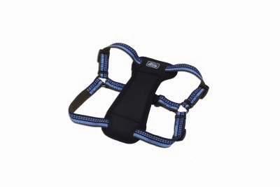 Coastal K9 Explorer Padded Harness