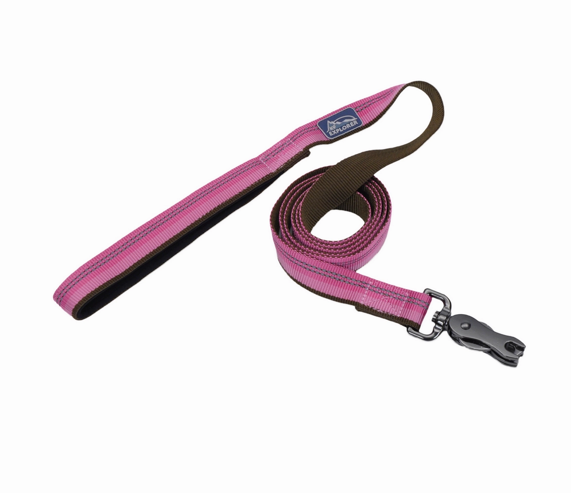 Coastal K9 Explorer Reflective Dog Leash