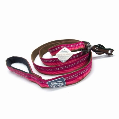 Coastal K9 Explorer Reflective Dog Leash