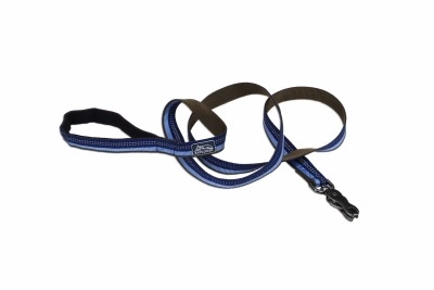 Coastal K9 Explorer Reflective Dog Leash