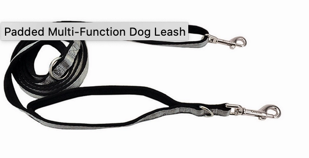 Coastal Padded Multi-Function Leash Silver 6'