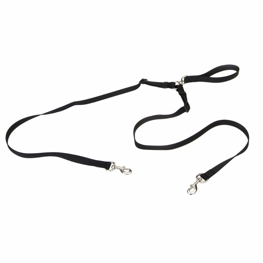 Coastal Two Dog Walker Leash