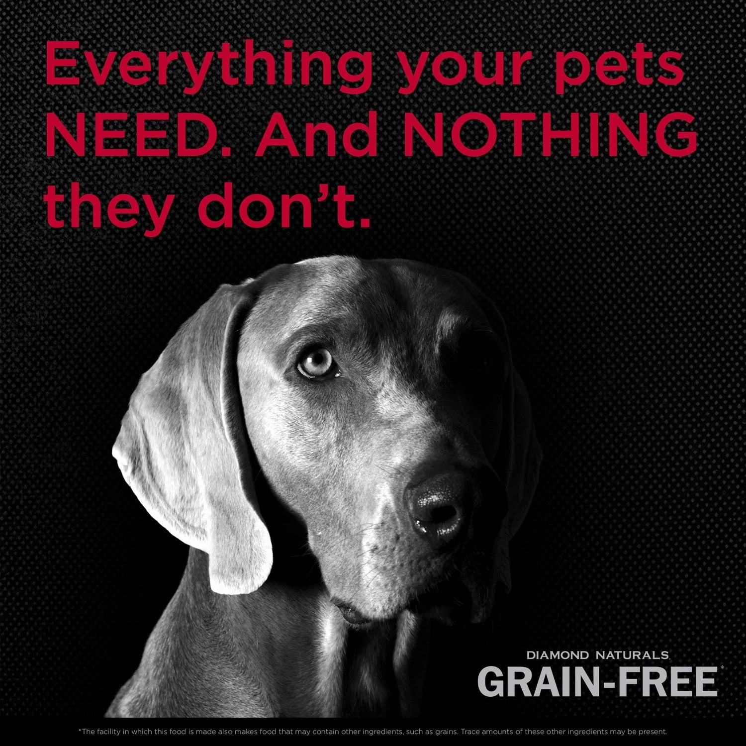 Diamond Naturals Beef And Potato Dry Dog Food