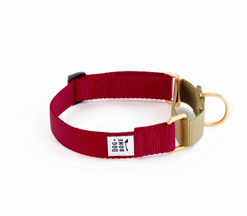 Dog   Bone Martingale Collar