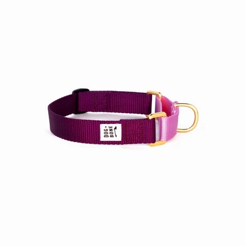 Dog   Bone Martingale Collar