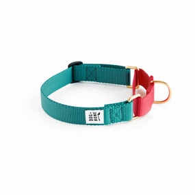 Dog   Bone Martingale Collar