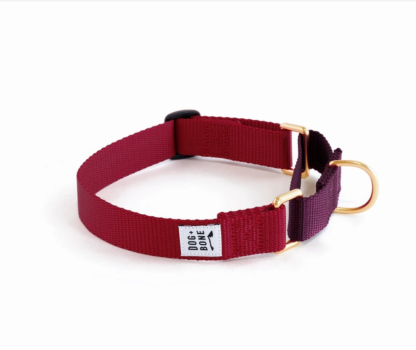 Dog   Bone Martingale Collar