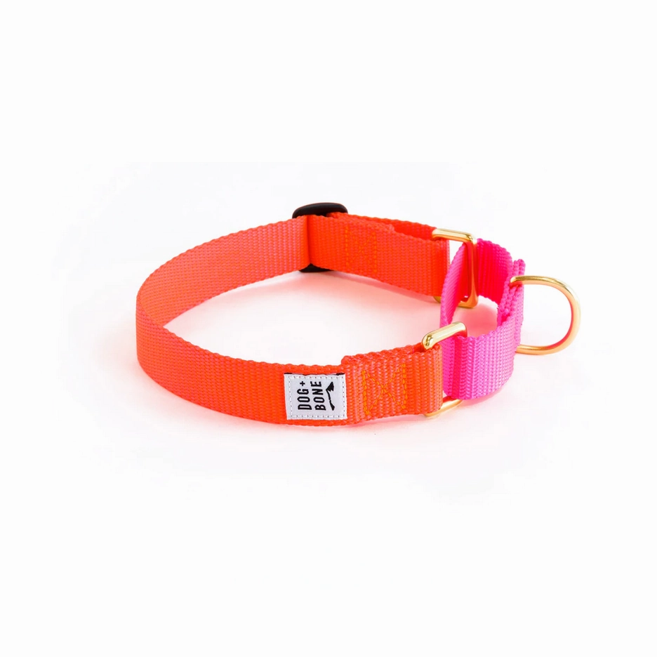Dog   Bone Martingale Collar