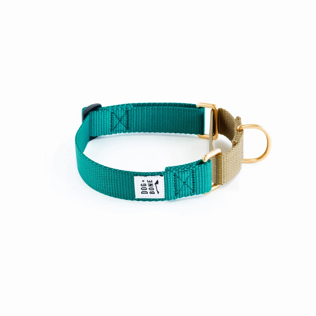 Dog   Bone Martingale Collar