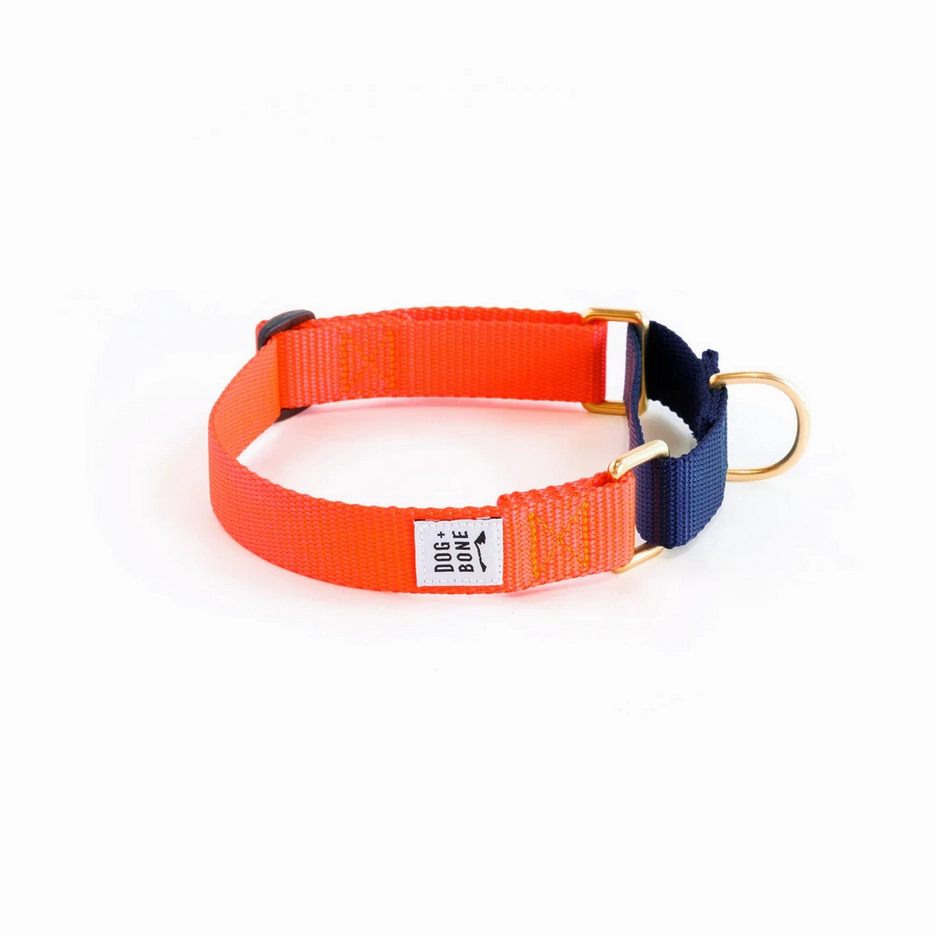 Dog   Bone Martingale Collar