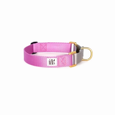 Dog   Bone Martingale Collar