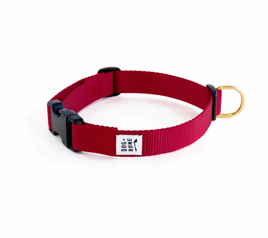 Dog   Bone Snap Collar