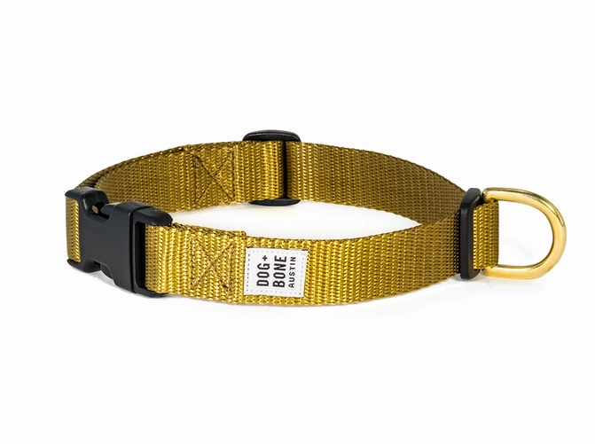 Dog   Bone Snap Collar