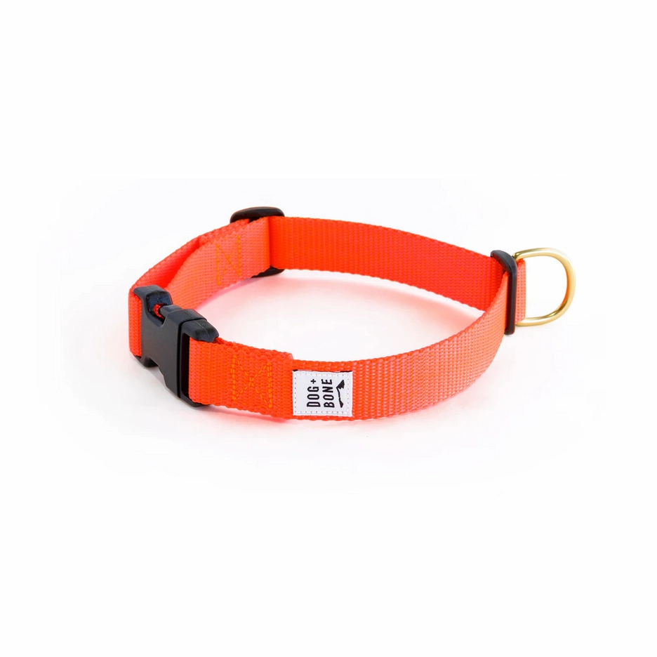 Dog   Bone Snap Collar