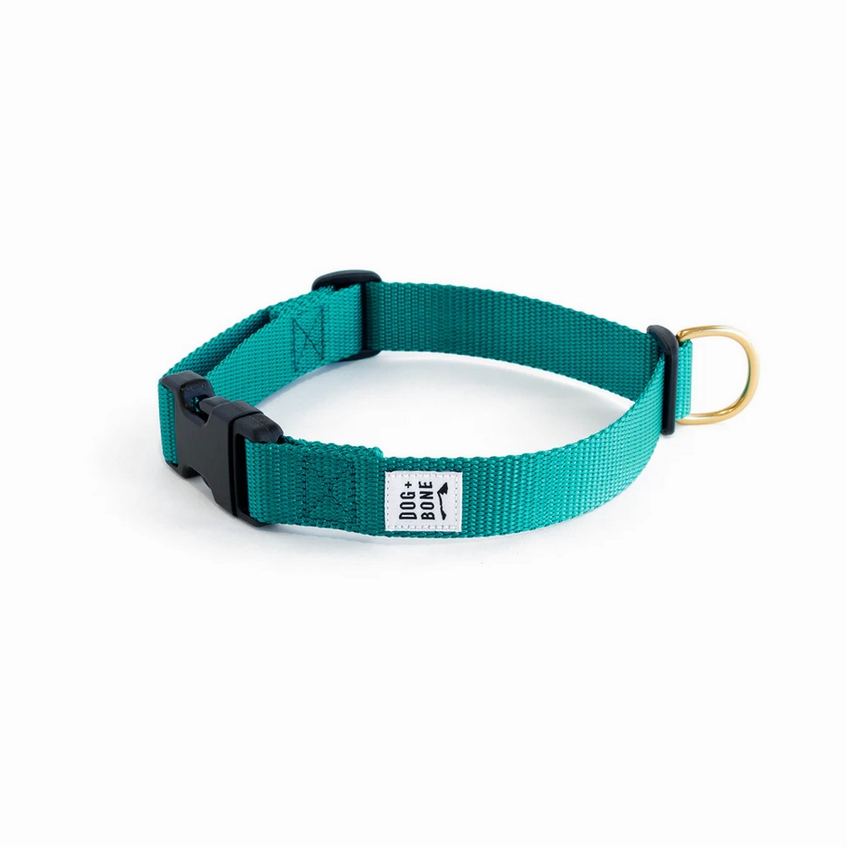Dog   Bone Snap Collar