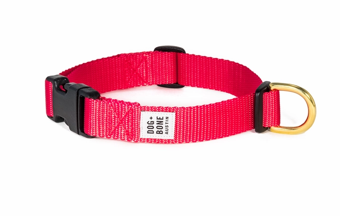 Dog   Bone Snap Collar
