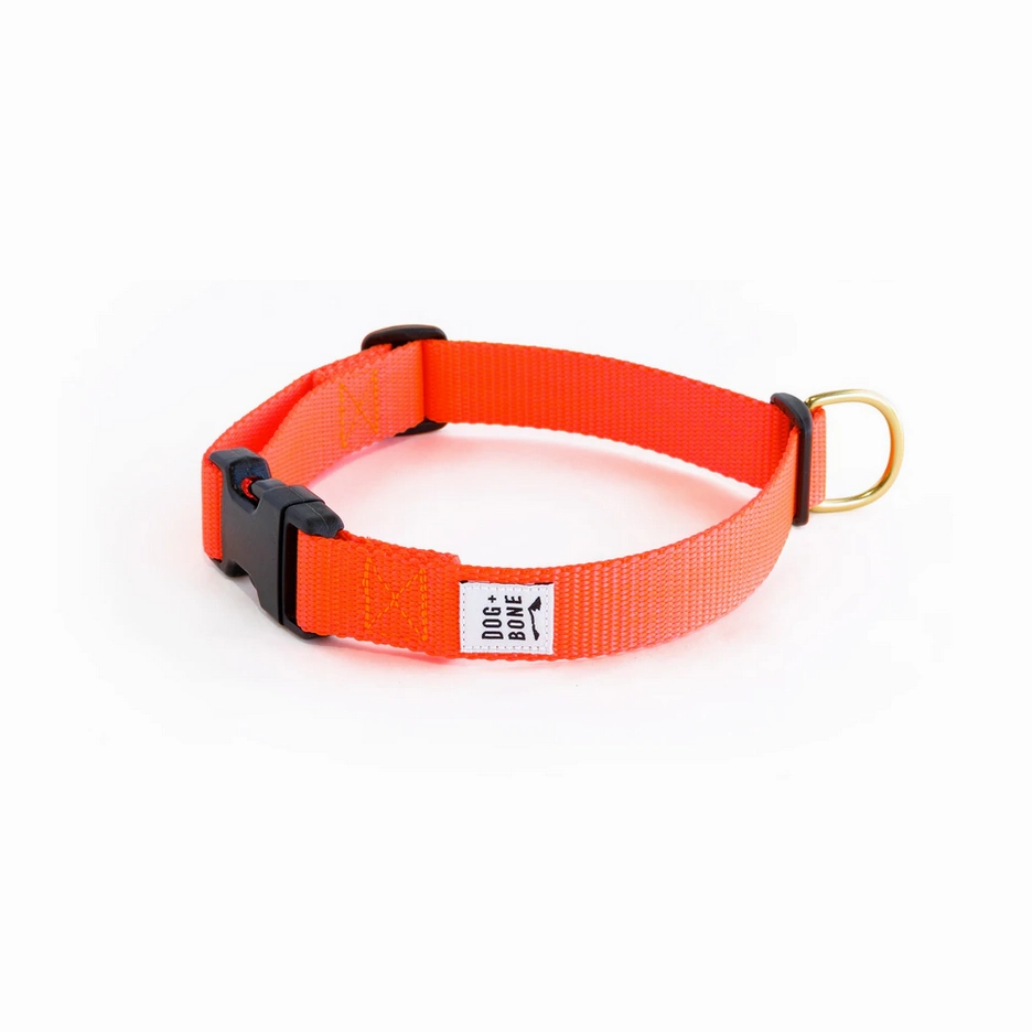 Dog   Bone Snap Collar
