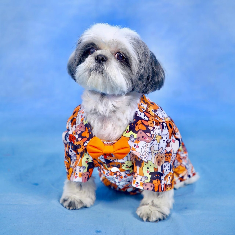 Dogobow Doggo Print Shirt for Dogs (Orange/White)