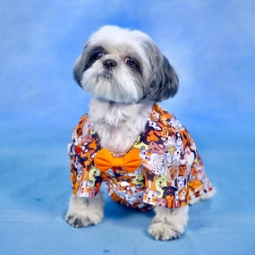 Dogobow Doggo Print Shirt for Dogs (Orange/White)