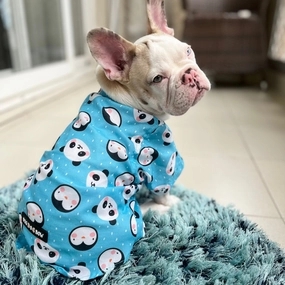 Dogobow Panda Print Shirt for Dogs (Blue/White)
