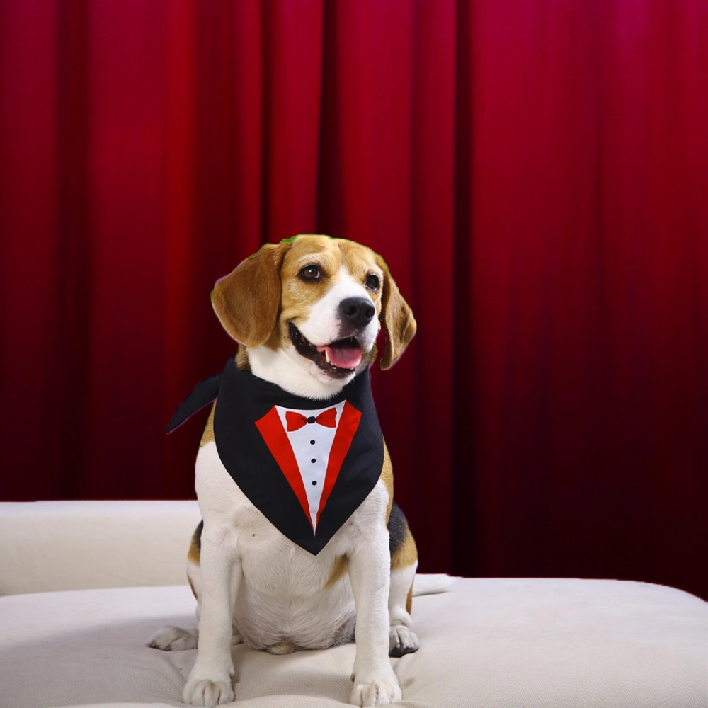 Dogobow Tuxedo Printed Bandana for Dogs (Black/White)