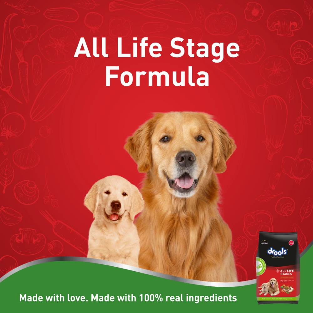 Drools 100% Vegetarian Puppy and Adult Dog Veg Dry Food (All Life Stages)