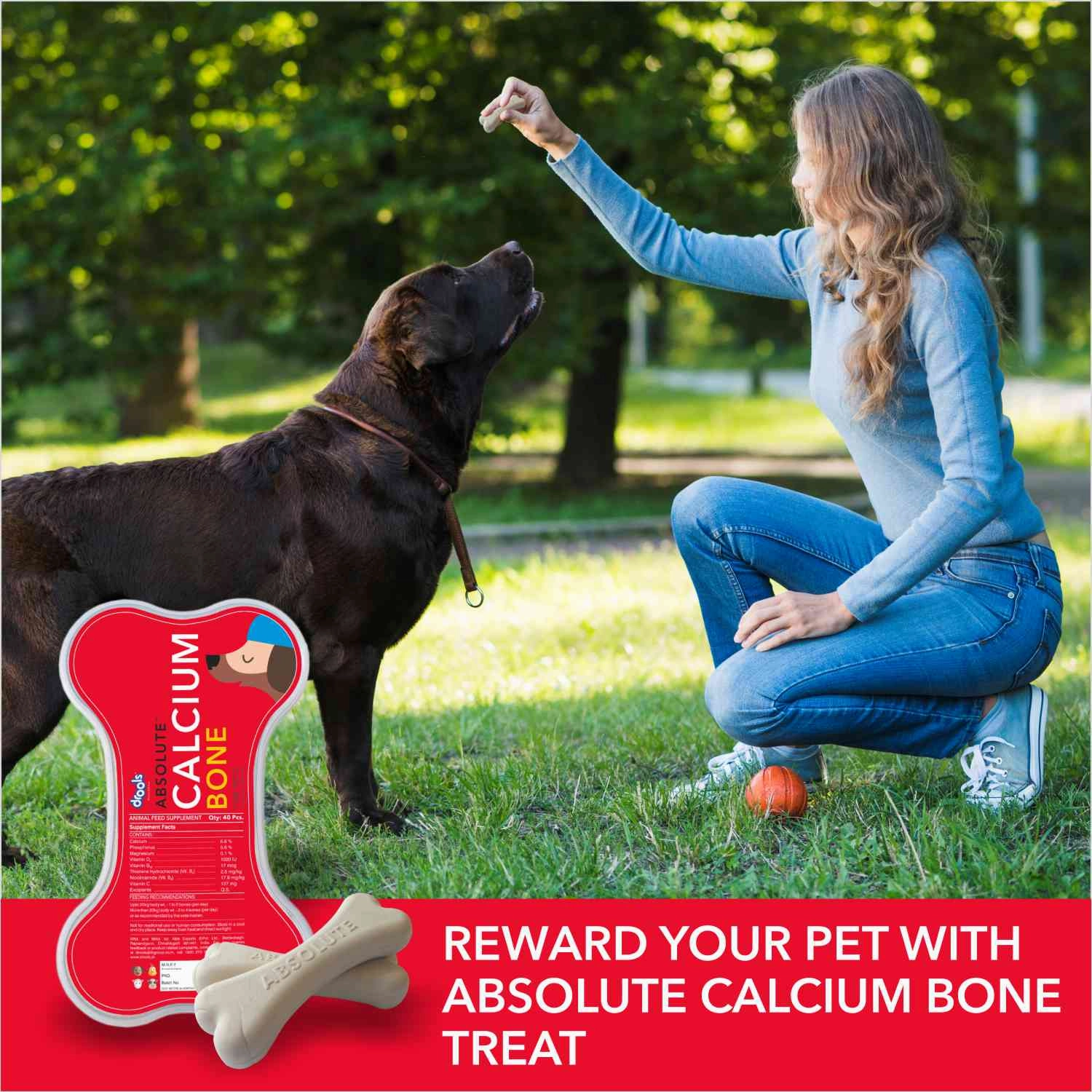 Drools Absolute Calcium Bones (Jar), Kennel Kitchen Chicken Flaxseed Stick Dogs Treat Combo