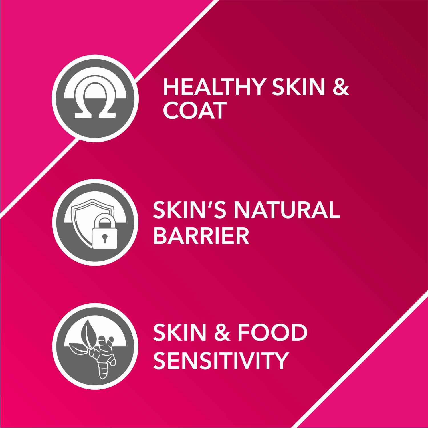 Drools Absolute Skin & Coat and  Absolute Calcium Supplement Tablets for Dogs Combo