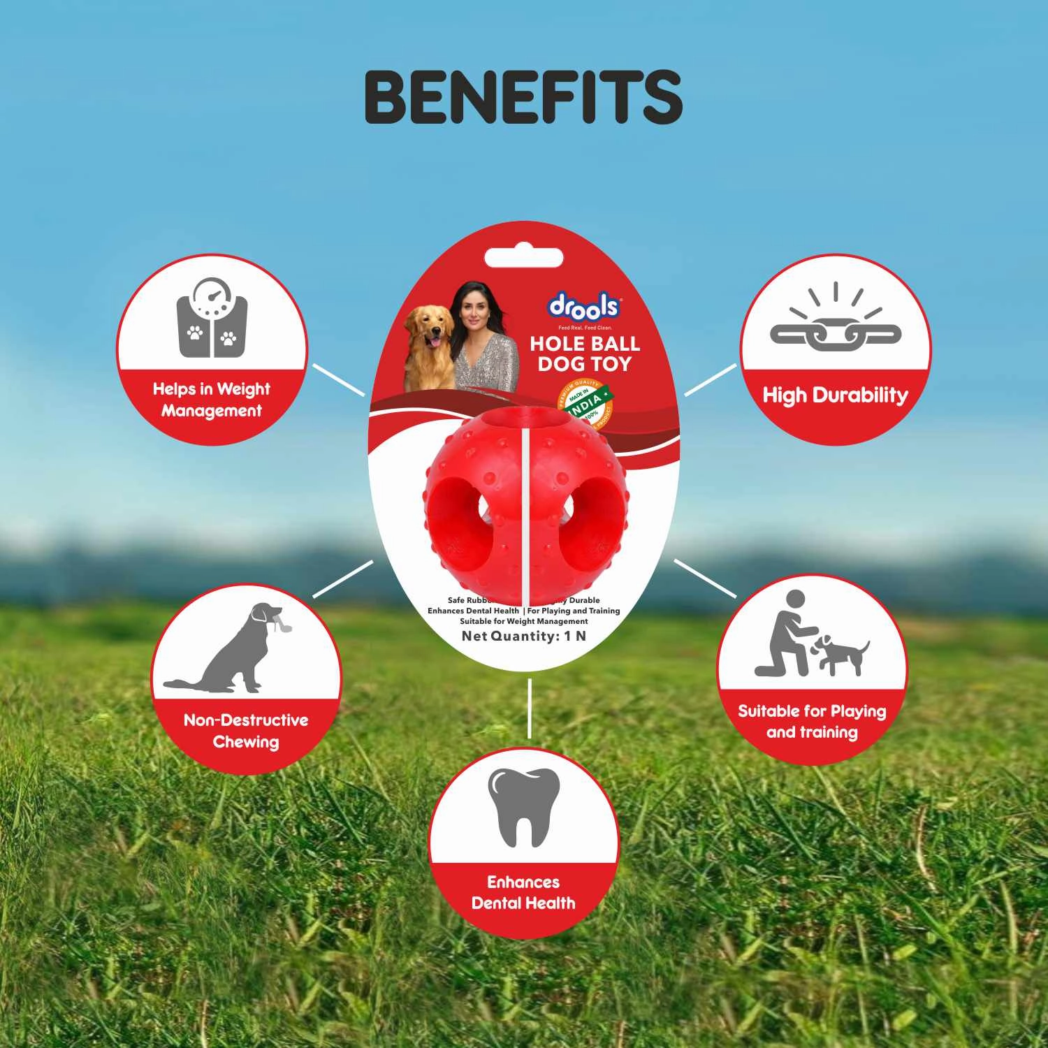Drools Non-Toxic Rubber Hole Ball Toy & Henlo Chicken Jerky Treats | High-Protein, Guilt-Free Dog Combo