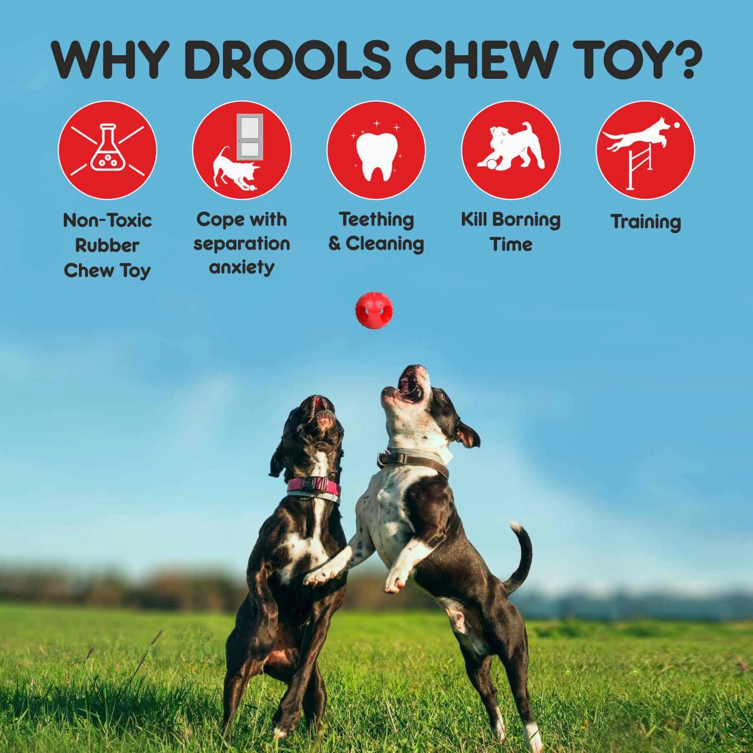 Drools Non-Toxic Rubber Hole Ball Toy & Henlo Chicken Jerky Treats | High-Protein, Guilt-Free Dog Combo