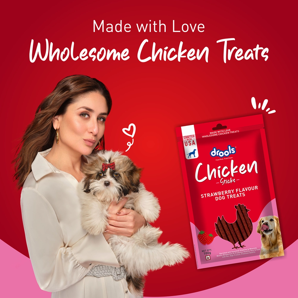 Drools Strawberry Flavour Chicken Sticks Treat for Dogs